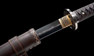 Katana Seimei No Inazuma (生命の稲妻) – Rayo De Vida